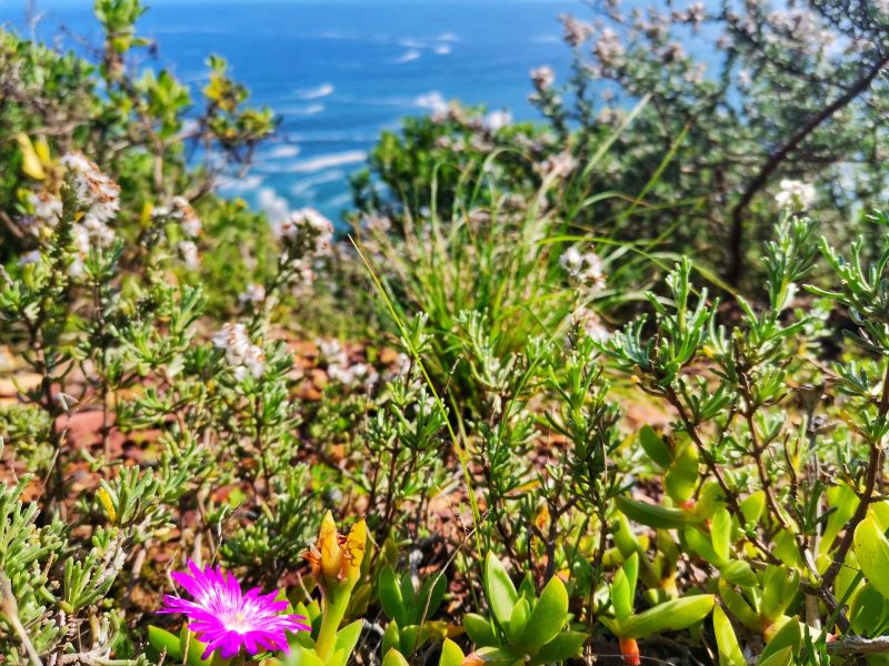 Heritage and Tourism Month 2021 09 002