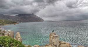 Hout Bay Sentinel Leopard view