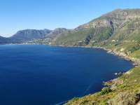 Top Five best whale-watching spots in the Western Cape