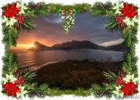 Celebrate the festive season with Chappies