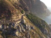 Get Rewarded as a Frequent User