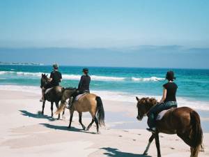 Horse Riding