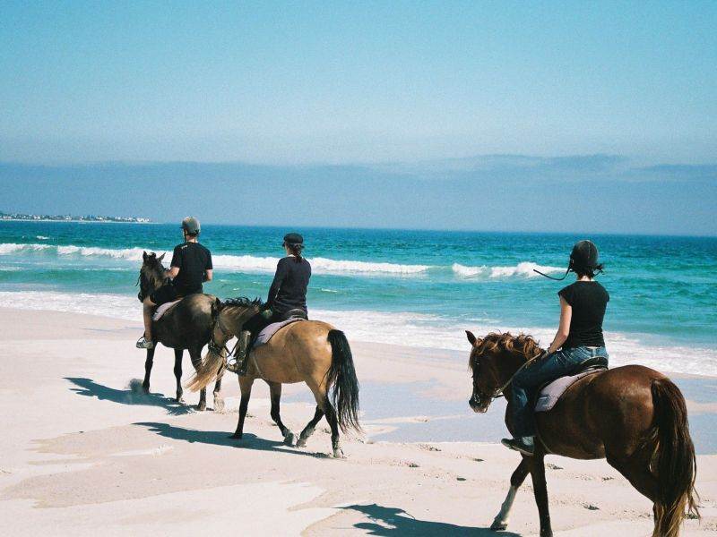 Horse Riding