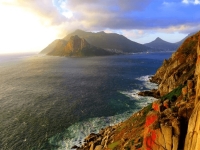 Get a Discount on Chappies!