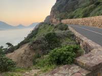 Celebrate Spring on Chappies