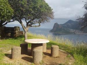 Picnics