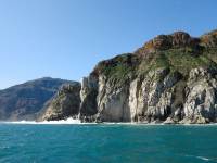 #Chappies in Numbers