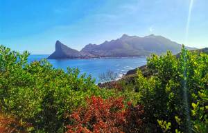 Conservation: Alien Vegetation Clearing